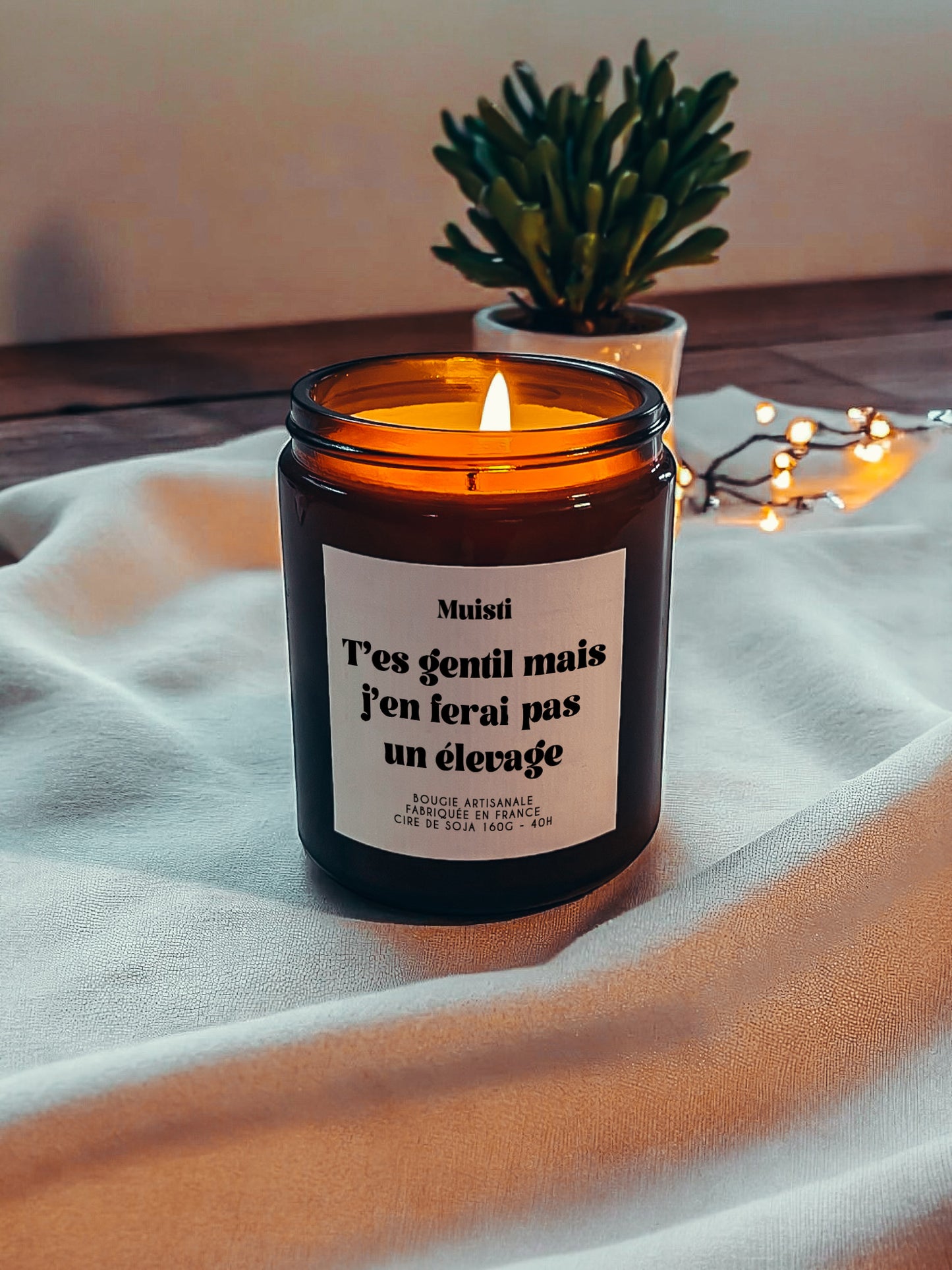 Bougie à message - T'es gentil mais j'en ferais pas un élevage