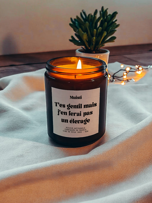 Bougie à message - T'es gentil mais j'en ferais pas un élevage
