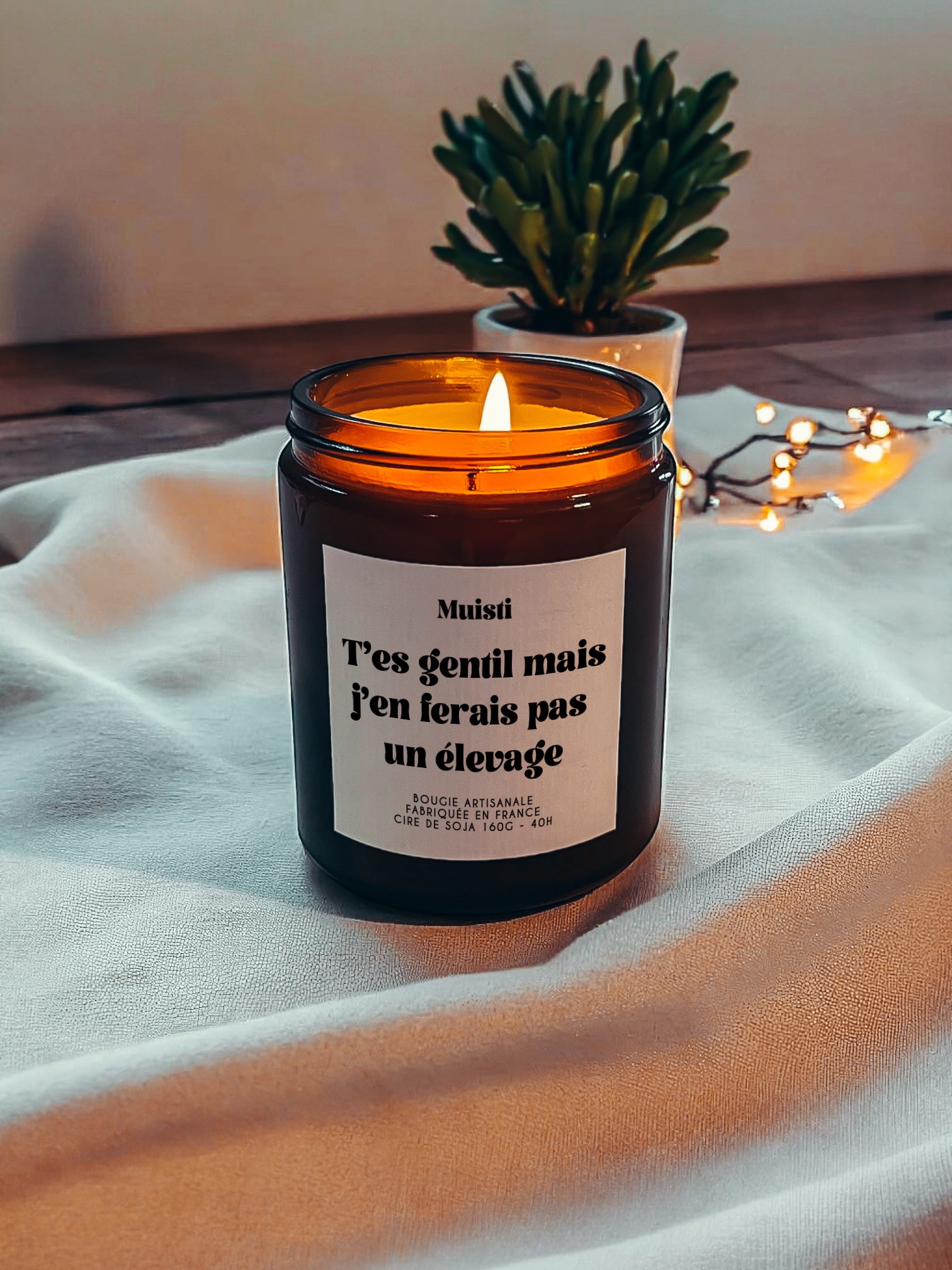 Bougie à message - T'es gentil mais j'en ferais pas un élevage