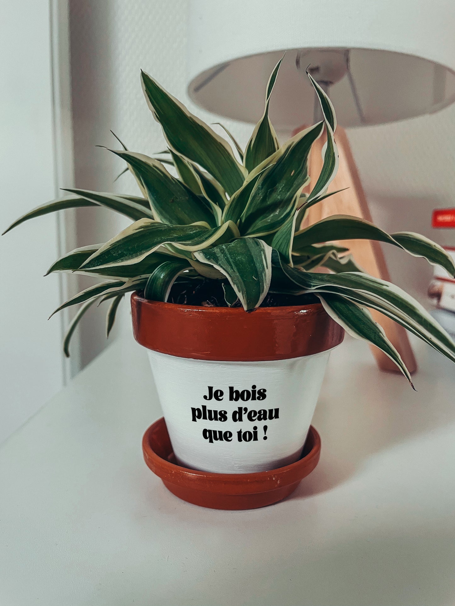 Pot de fleur à message - Je bois plus d'eau que toi