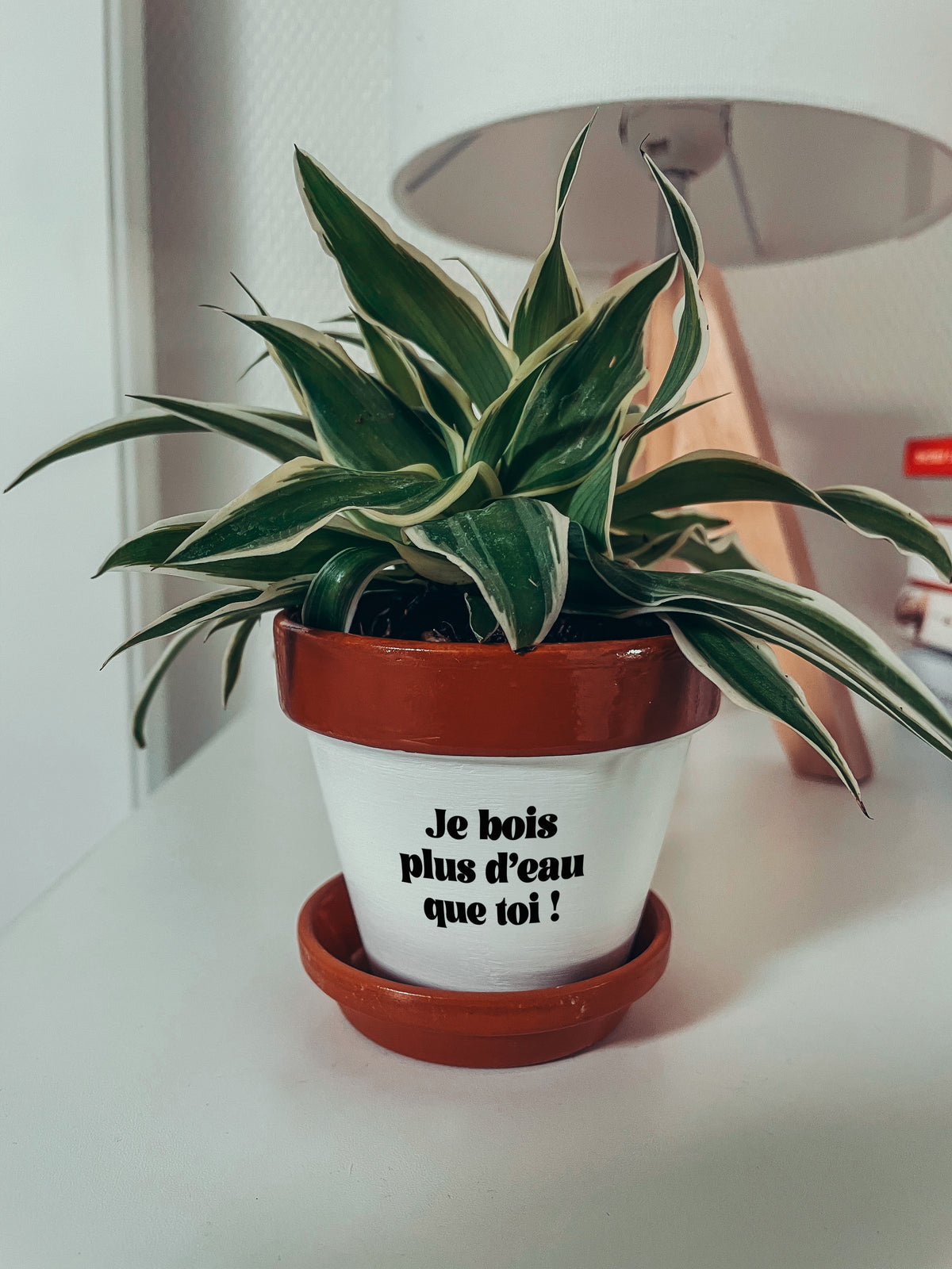 Pot de fleur à message - Je bois plus d'eau que toi