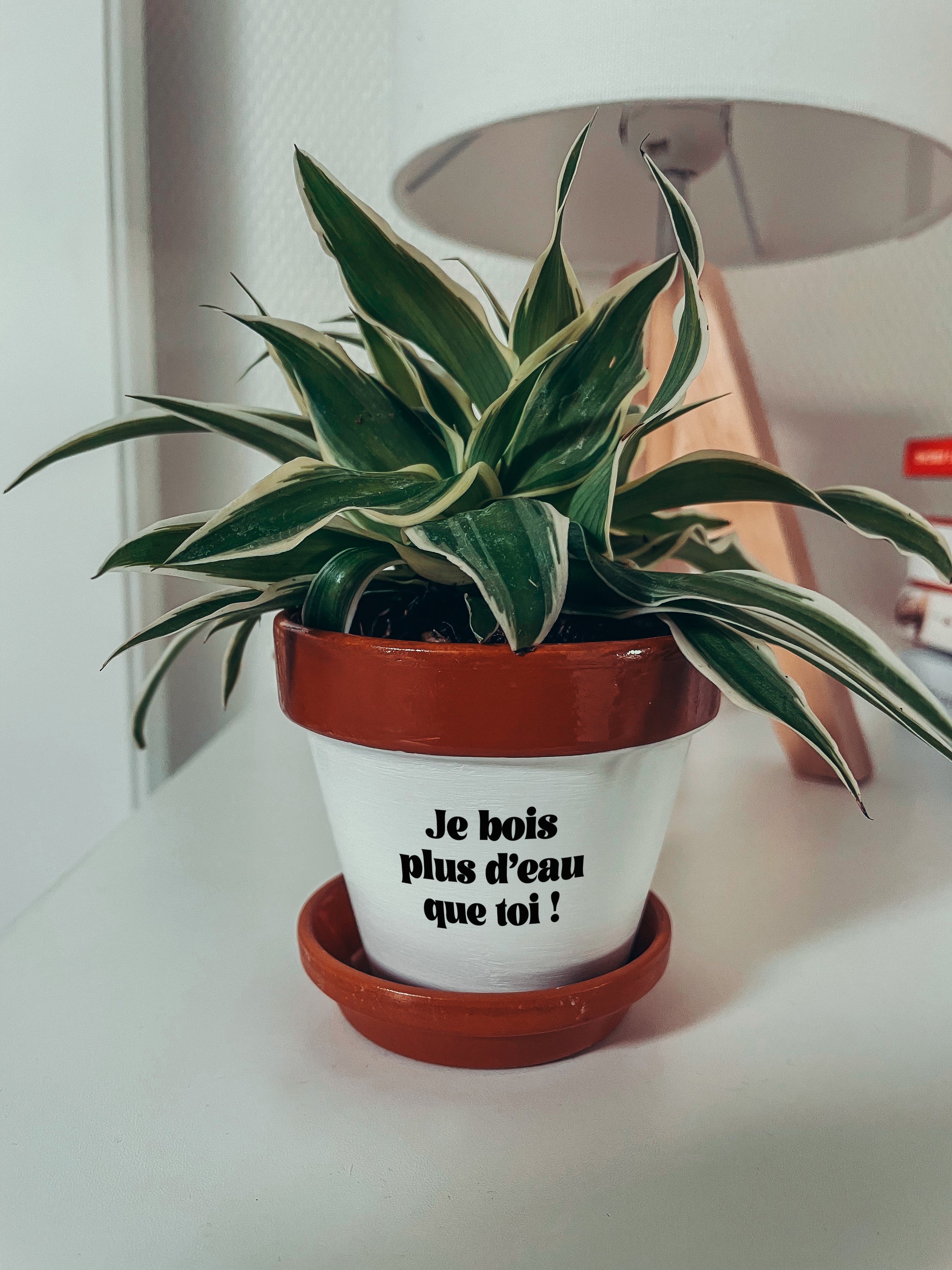 Pot de fleur à message - Je bois plus d'eau que toi