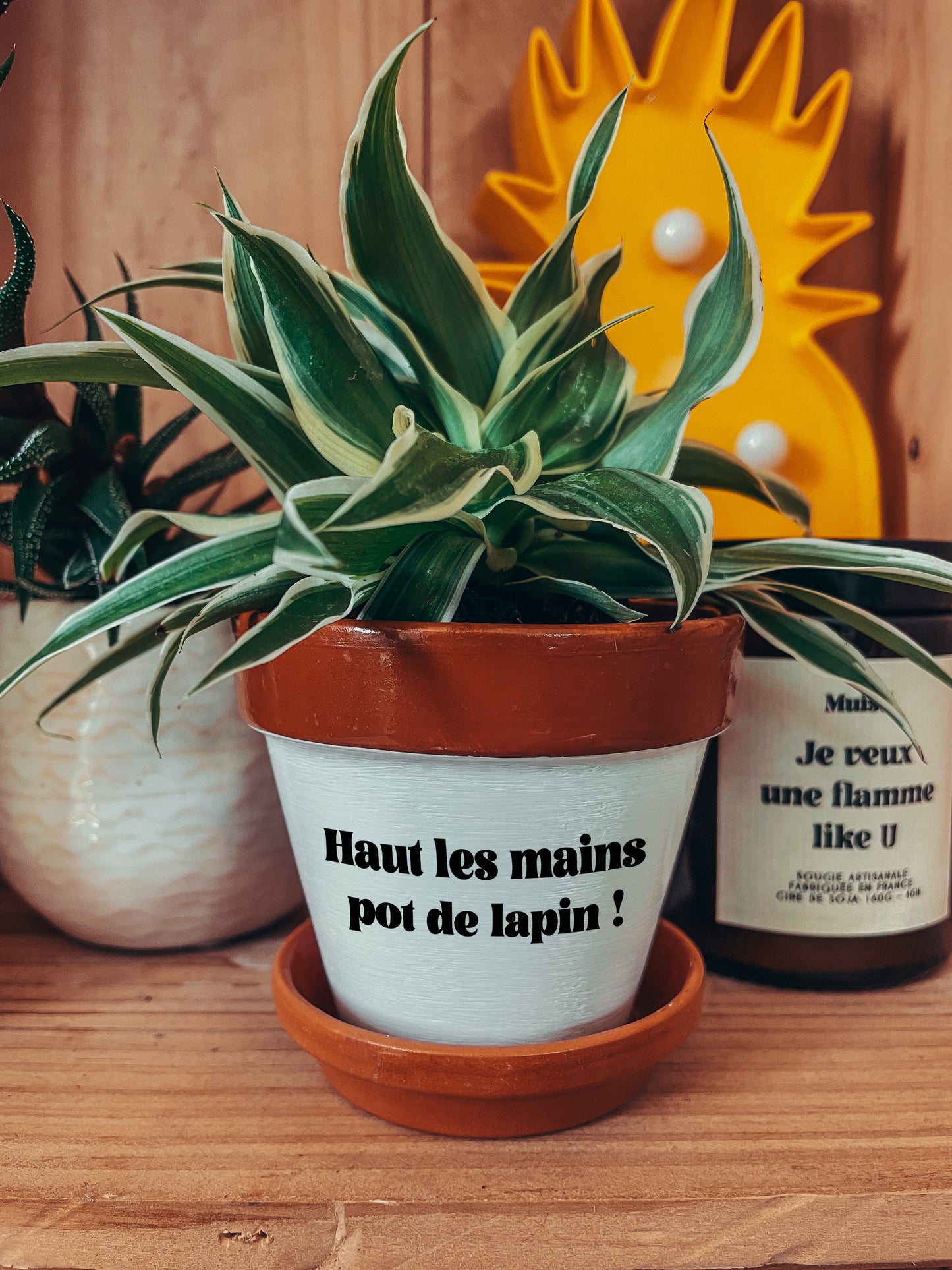 Pot de fleurs à message - Haut les mains pot de lapin !