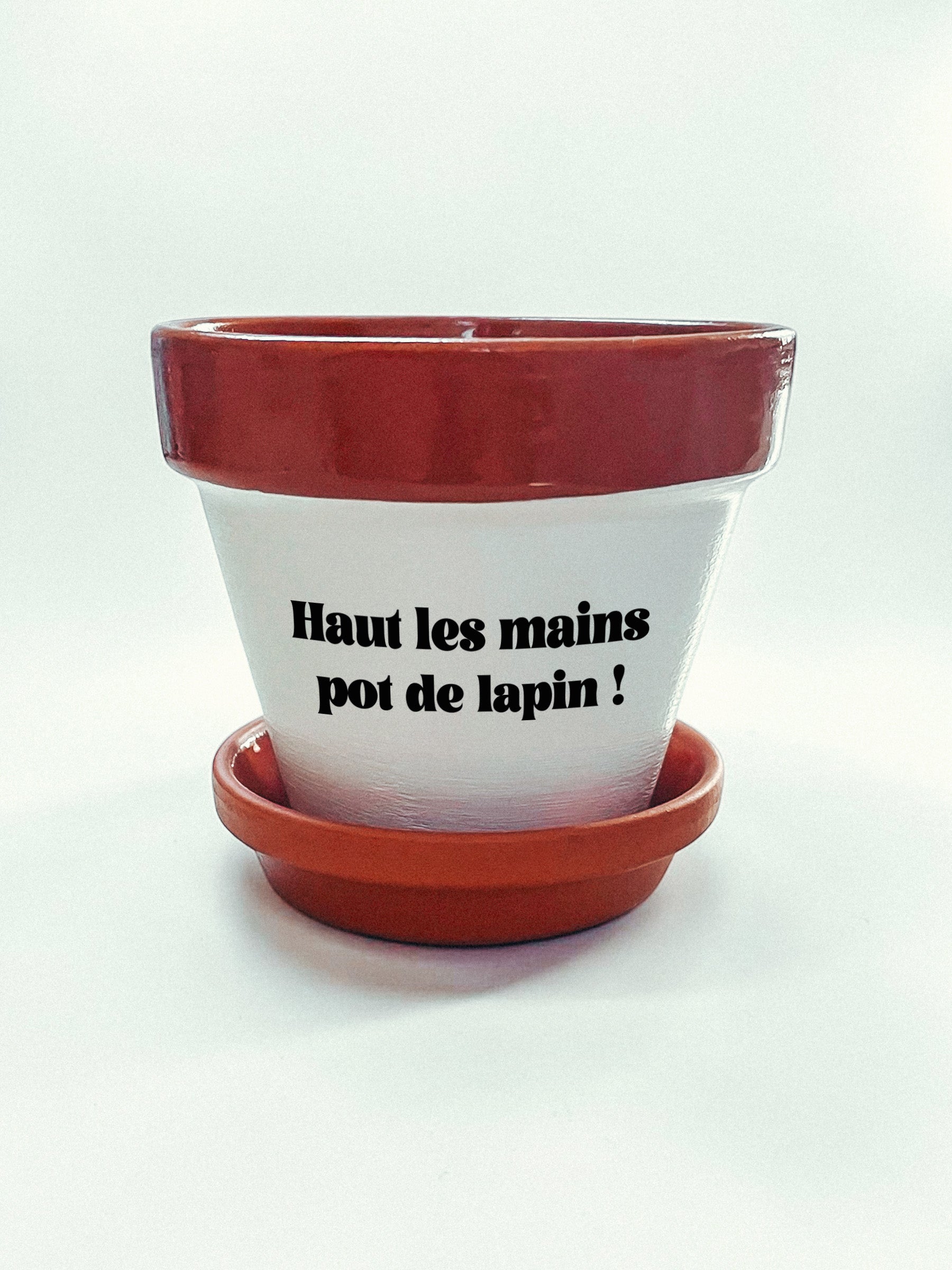 Pot de fleurs à message - Haut les mains pot de lapin !
