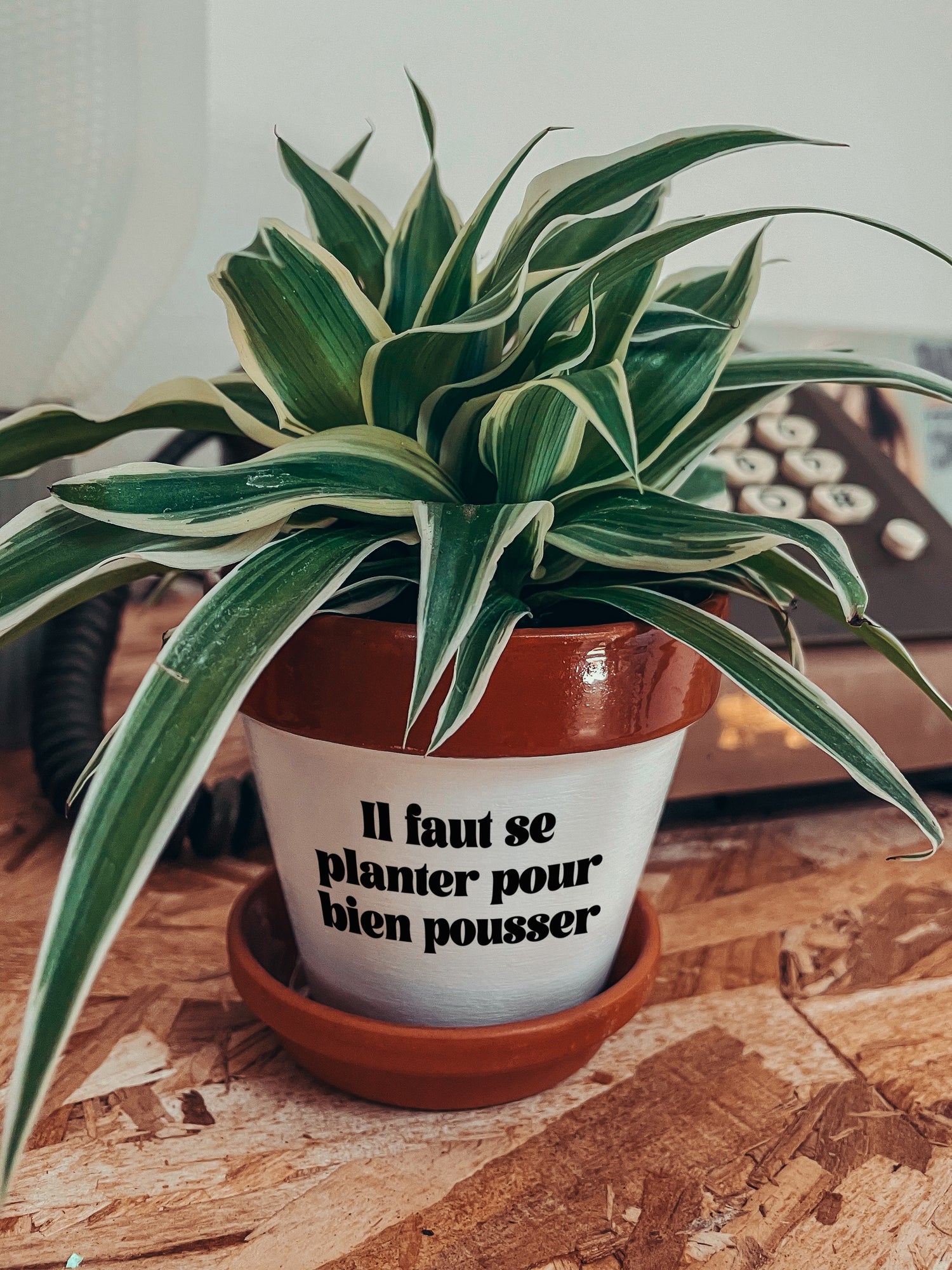 Pot de fleurs à message - Il faut se planter pour bien pousser