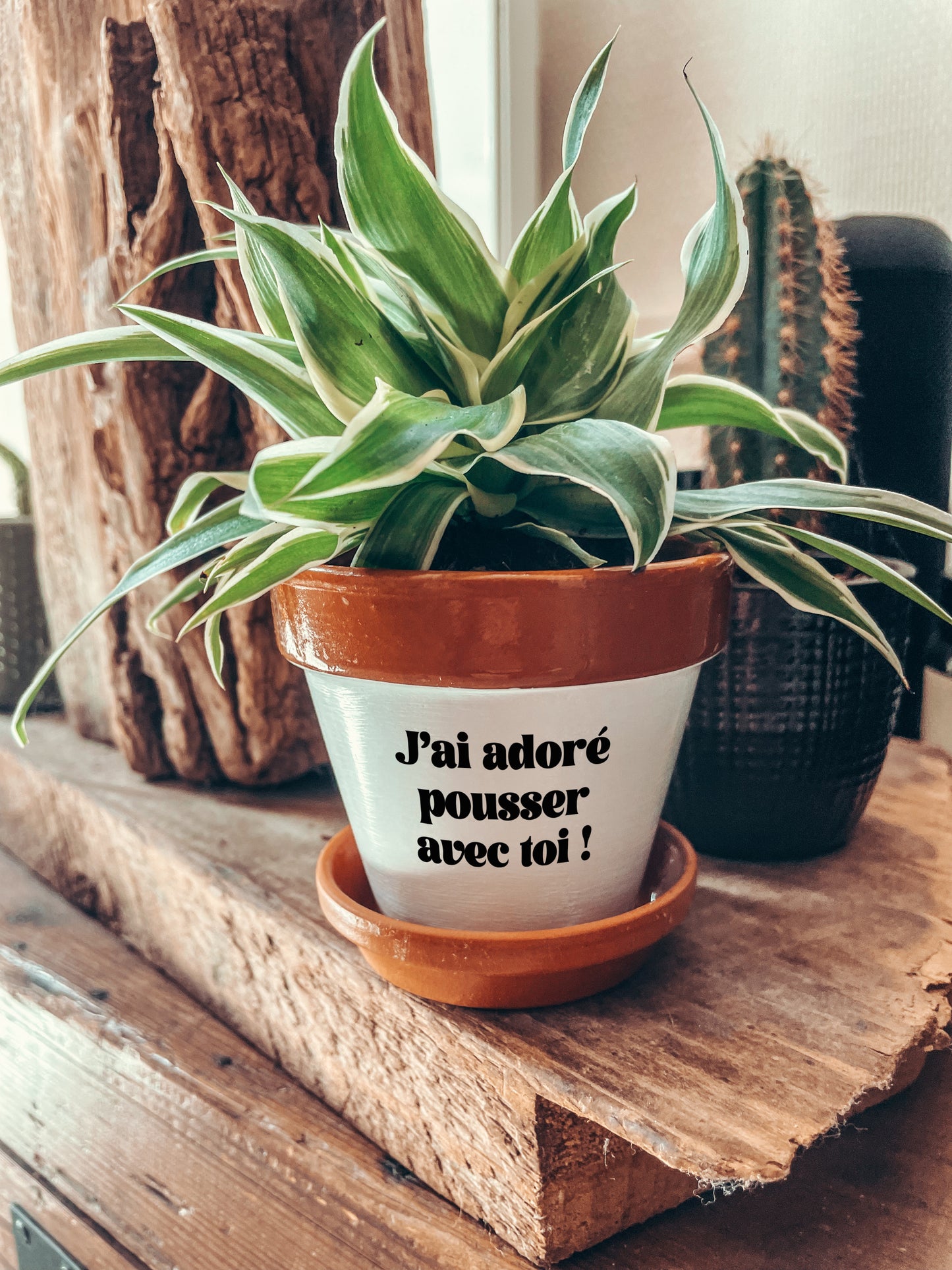 Pot de fleurs à message - J'ai adoré pousser avec toi !