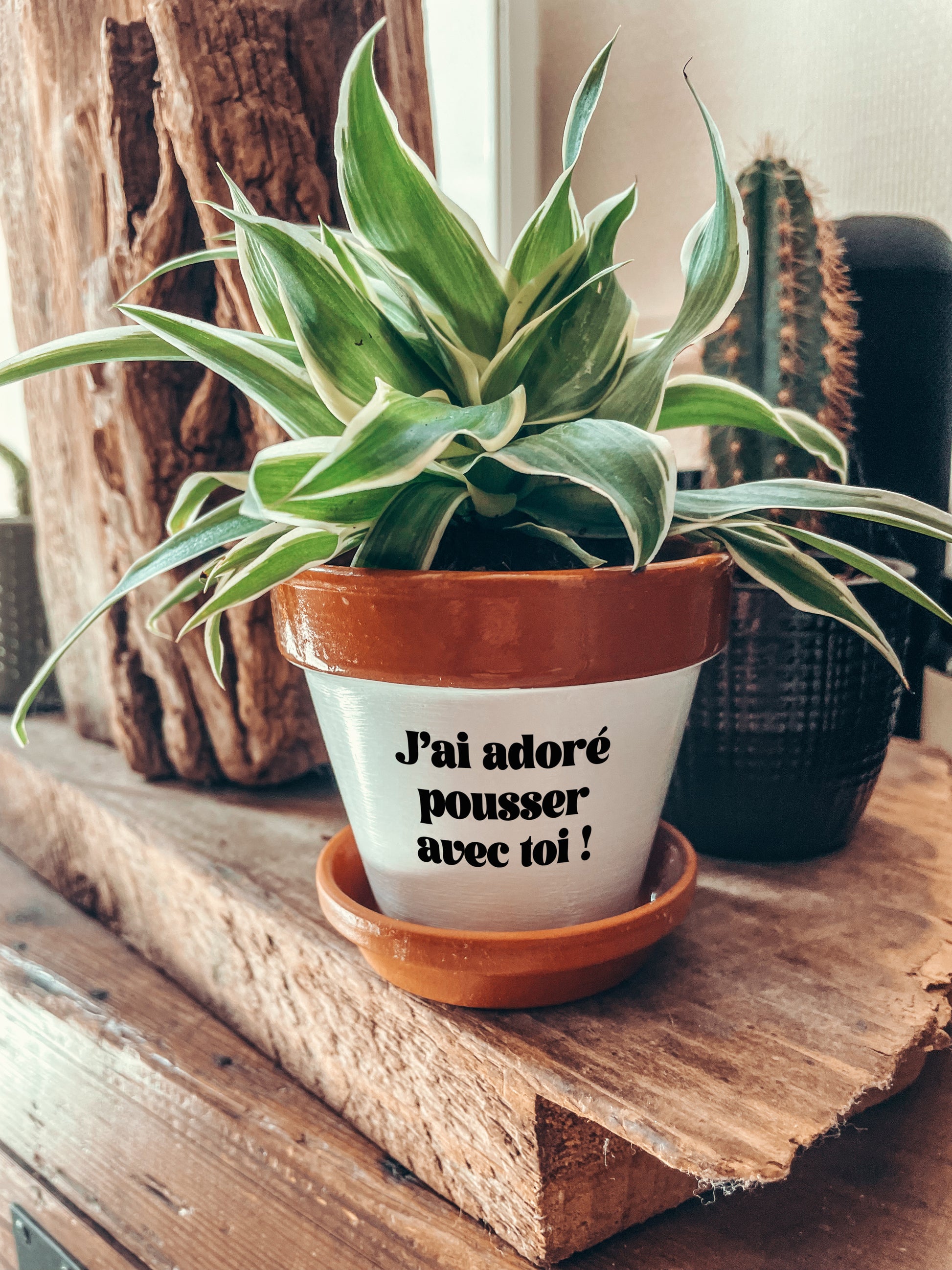Pot de fleurs à message - J'ai adoré pousser avec toi !