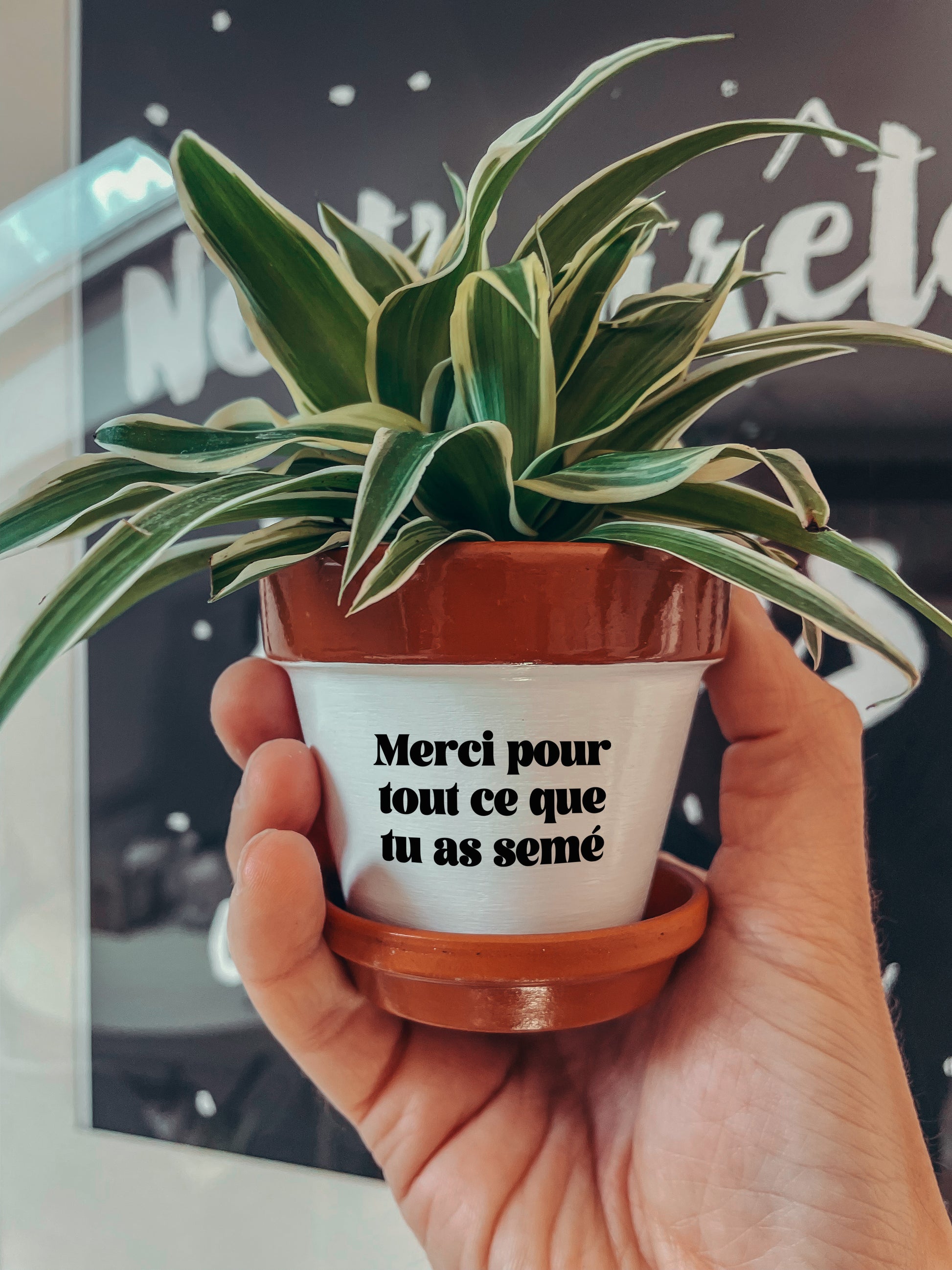 Pot de fleurs à message - Merci pour tout ce que tu as semé