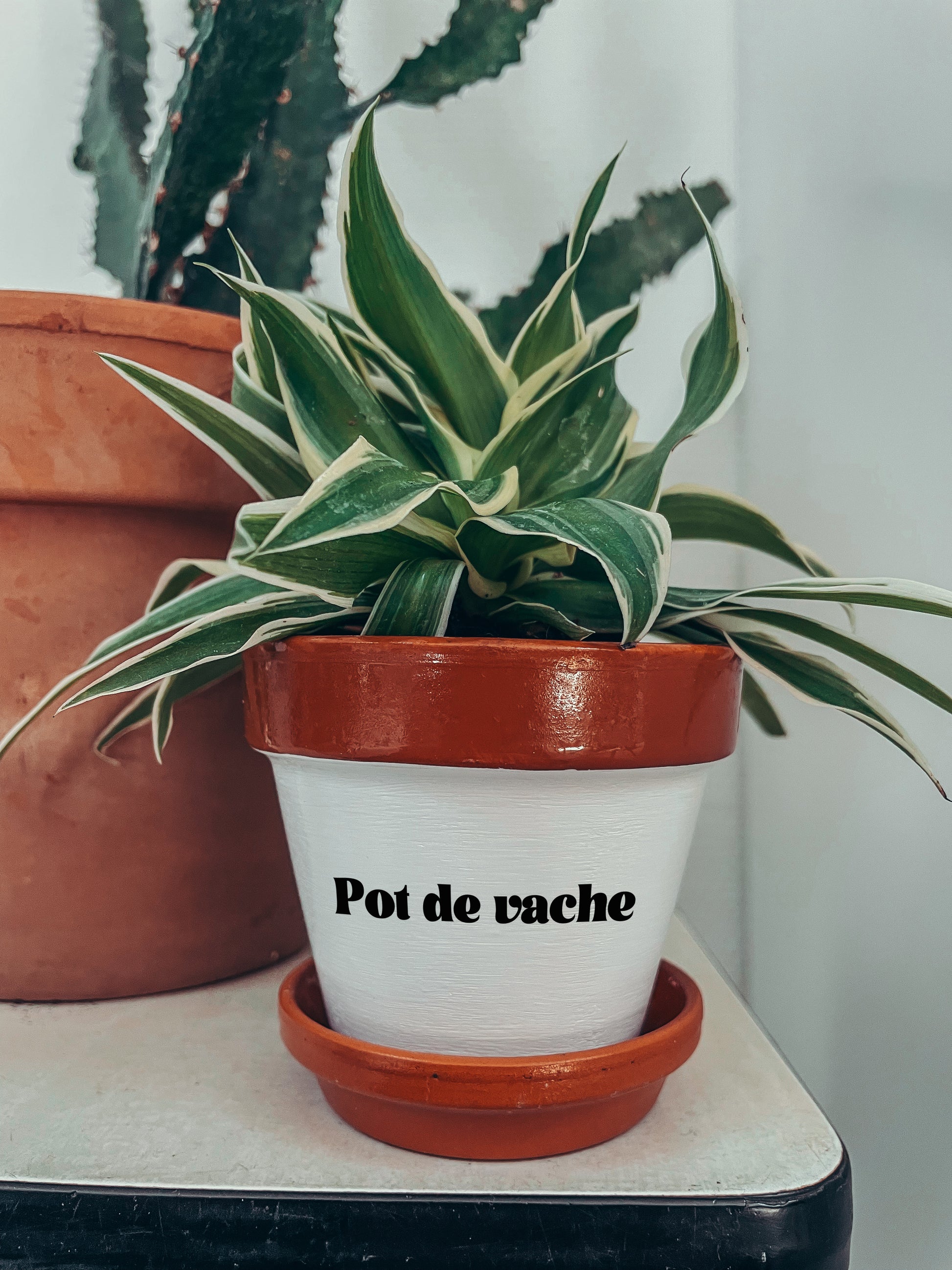 Pot de fleurs à message - Pot de vache